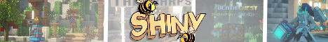banner for Shiny MC server