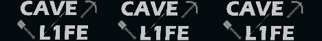 banner for Cavel1fe server