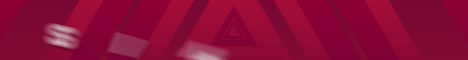 banner for Simply Anarchy server