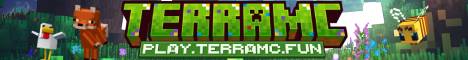 banner for TerraMC server