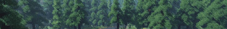 banner for SomeleCraft Network server