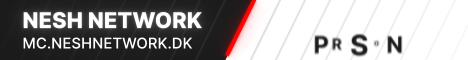 banner for NESH Network server