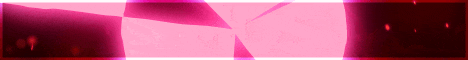 banner for nitent network server