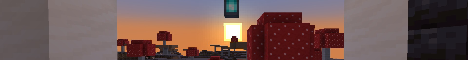 banner for New Dawn server
