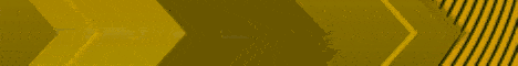 banner for BeemrsPvP server