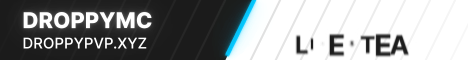 banner for DroppyMC server