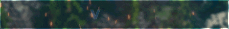 banner for vietfc server