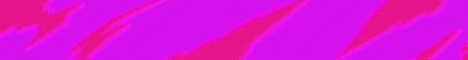 banner for ScorgeMC server