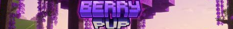 banner for Berry PvP server