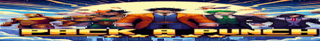 banner for PackaPunch server