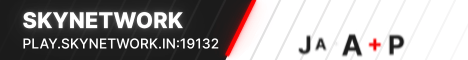 banner for SkyNetwork server