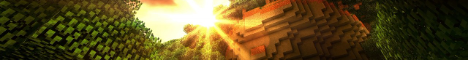 banner for OniMc server