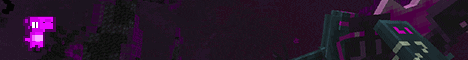 banner for DragonShieldMC server