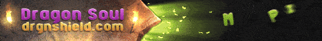 banner for DragonShieldMC server