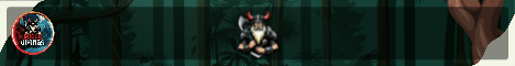 banner for Rogue Vikings server