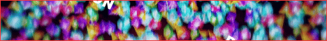 banner for NormalSMP server