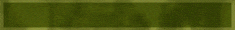 banner for Minelife Survival server