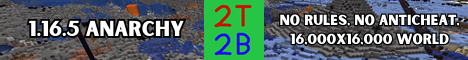 banner for 2t2b server