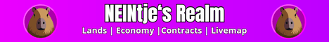 banner for NEINtjes Realm server