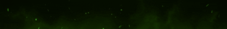 banner for WirryCraft server