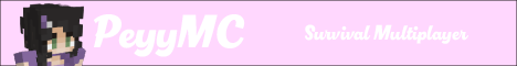 banner for PeyyMC server