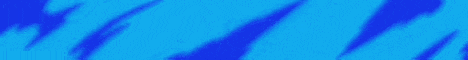 banner for Pristine Network server