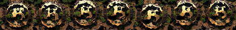 banner for DernierRempart server