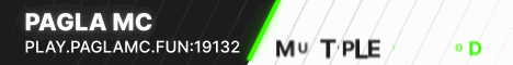 banner for Pagla MC server