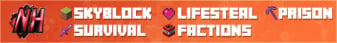 banner for Netherite server