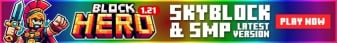 banner for BLOCKHERO server