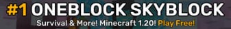 banner for One Block MC server