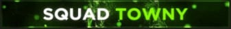 banner for Squad Towny server