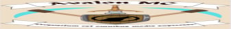 banner for Avalon MC server