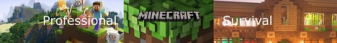 banner for Professional Minecraft Survival server