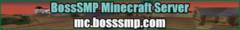banner for BossSMP server