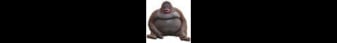 banner for ChunkyMonkeysSMP server