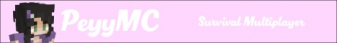 banner for PeyyMC server