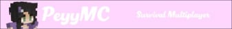 banner for PeyyMC server