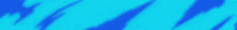 banner for Hamster SMP server