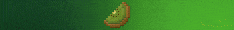 banner for KiwiSMP server