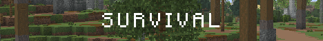 banner for Konsole server