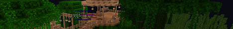 banner for Ilemia Realm server