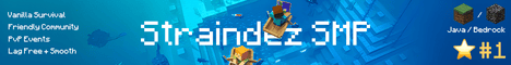 banner for StraindezSMP server