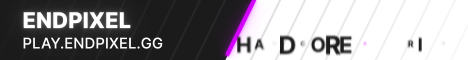 banner for EndPixel server