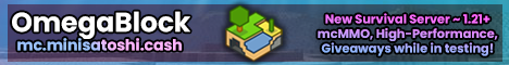 banner for OmegaBlock server