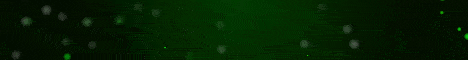 banner for SurvivalState server
