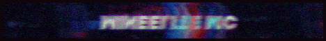 banner for MineElite MC server