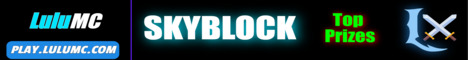 banner for LuluMC server