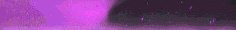 banner for EnchantMC server