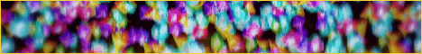banner for ZaiynneSMP server